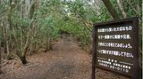 Der Aokigahara-Wald liegt am Fuße des Vulkans Fuji in Japan. Das asiatische Land hat eine tragisch hohe Suizidrate – und im Dickicht des Waldes nehmen sich jährlich viele Menschen das Leben. Wie viele genau, das wird von den Behörden verschwiegen. An den Eingängen des Waldes stehen Schilder mit der Botschaft: "Das Leben ist ein kostbares Geschenk".     Sie haben suizidale Gedanken? Hilfe bietet die Telefonseelsorge. Sie ist anonym, kostenlos und rund um die Uhr unter (0800) 1110111 und (0800) 1110222 erreichbar. Auch eine Beratung über E-Mail ist möglich. Eine Liste mit bundesweiten Hilfsstellen findet sich auf der Seite der Deutschen Gesellschaft für Suizidprävention.