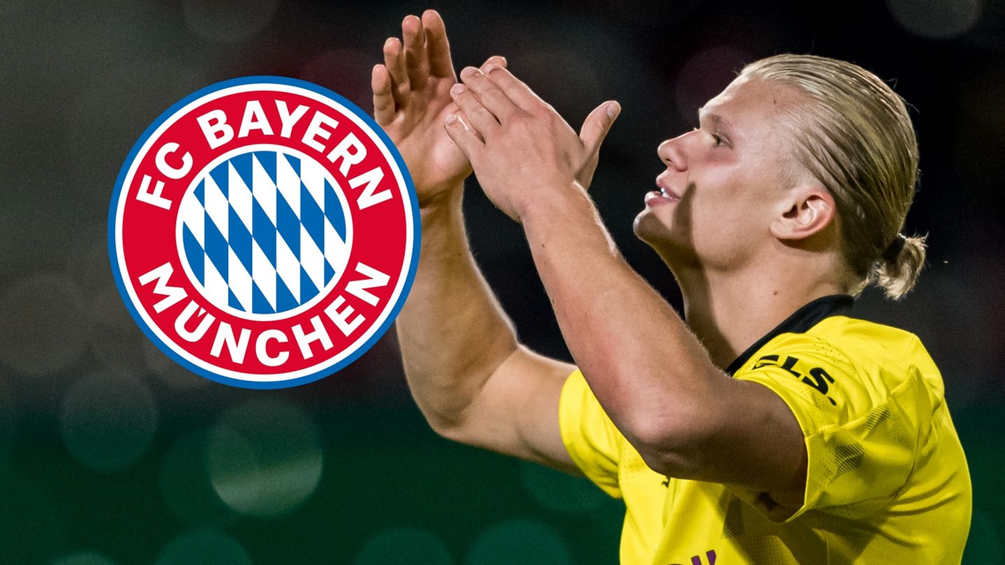 FC Bayern: private meeting between Hasan Salihamidzic and Erling Haaland?