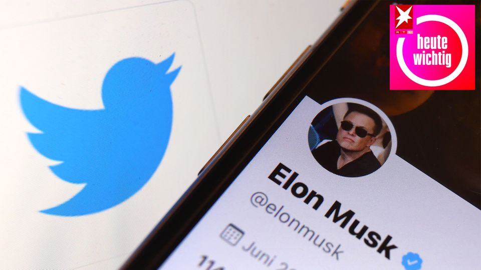 Vor dem blauen Twitter-Logo zeigt ein Smartphone-Display den Twitter-Account von Elon Musk