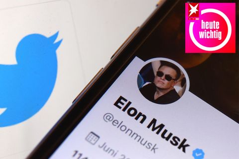 Vor dem blauen Twitter-Logo zeigt ein Smartphone-Display den Twitter-Account von Elon Musk