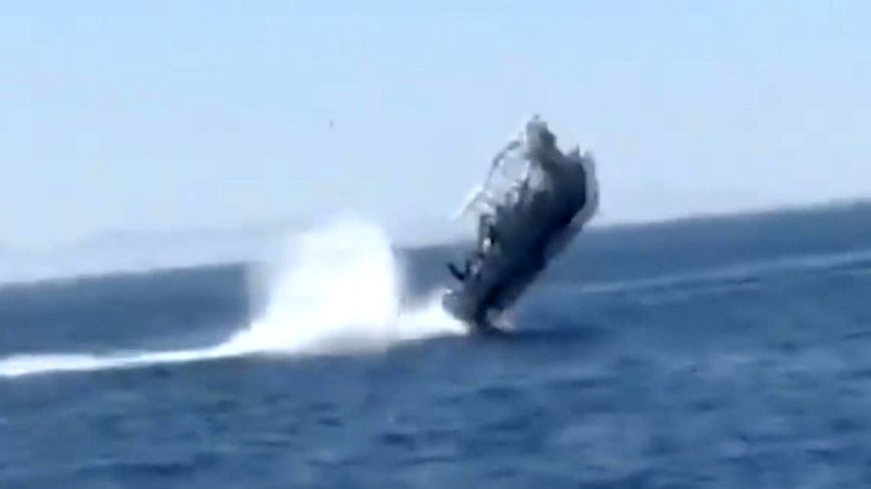 Unfall in Mexiko : Meterhoch in die Luft geschleudert: Touristenboot kollidiert mit Walhai