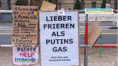 Warum will die Bundesregierung nicht einfach auf Erdgas aus Russland verzichten?