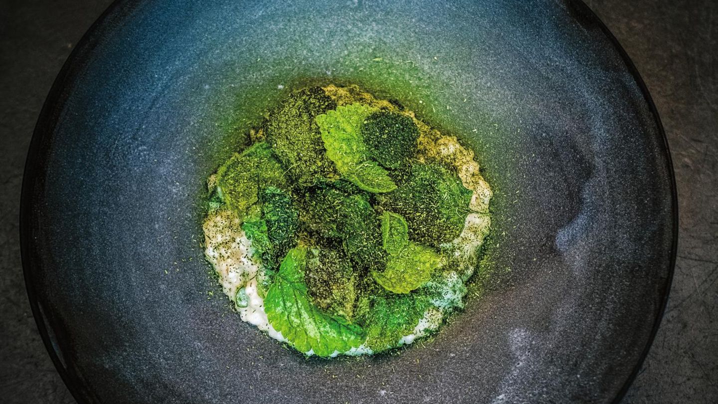 Kochbuch "Gefundenes Fressen": Goldnesselgraupen Zutaten: Für 4 Personen 1 große Gemüsezwiebel, 1 Knoblauchzehe, 100 g Hartkäse (z.B. Parmesan), 1 l Gemüsebrühe, 4 EL Olivenöl plus Öl zum Marinieren, Salz, 200 g Perlgraupen, 70 ml trockener Weißwein, 100 g Butter, 2 Goldnesseln, 1/2 Thymian, Zitronensaft, Pfeffer Zubereitung: 1. Die Zwiebel und den Knoblauch schälen und jeweils in feine Würfel schneiden. Den Hartkäse reiben und die Gemüsebrühe in einem Topf erhitzen. 2. Das Olivenöl in einem möglichst breiten Topf erhitzen, die Zwiebel- und Knoblauchwürfel beigeben, mit einer Prise Salz würzen und farblos anschwitzen. Wenn sie glasig sind, die Perlgraupen beigeben und gemeinsam für weitere 2 Minuten dünsten. Mit Weißwein ablöschen. Unter ständigem Rühren einkochen und die Hitze etwas reduzieren. Die heiße Gemüsebrühe kellenweise dazugeben und einkochen. Diesen Prozess wiederholen, bis die Graupen eine bissfeste Konsistenz haben. 3. Wenn die Graupen den gewünschten Biss haben, den Topf von der Hitze nehmen, die in Würfel geschnittene Butter und den geriebenen Hartkäse beigeben und einen Deckel auflegen. 4. Die Goldnesseln und die Thymianblättchen in einer Schüssel mit Salz, Zitronensaft und Olivenöl marinieren, sodass sie leicht benetzt sind. 5. Den Deckel vom Topf nehmen und die Graupen mit einem Teigschaber oder einem Silikonpinsel cremig rühren. Zuletzt mit Salz und Pfeffer abschmecken und anrichten. Die marinierten Goldnesseln auf den Graupen verteilen. Goldnesselgraupen Zutaten: Für 4 Personen 1 große Gemüsezwiebel, 1 Knoblauchzehe, 100 g Hartkäse (z.B. Parmesan), 1 l Gemüsebrühe, 4 EL Olivenöl plus Öl zum Marinieren, Salz, 200 g Perlgraupen, 70 ml trockener Weißwein, 100 g Butter, 2 Goldnesseln, 1/2 Thymian, Zitronensaft, Pfeffer Zubereitung: 1. Die Zwiebel und den Knoblauch schälen und jeweils in feine Würfel schneiden. Den Hartkäse reiben und die Gemüsebrühe in einem Topf erhitzen. 2. Das Olivenöl in einem möglichst breiten Topf erhitzen, die Zwiebel- und Knoblauchwürfel beigeben, mit einer Prise Salz würzen und farblos anschwitzen. Wenn sie glasig sind, die Perlgraupen beigeben und gemeinsam für weitere 2 Minuten dünsten. Mit Weißwein ablöschen. Unter ständigem Rühren einkochen und die Hitze etwas reduzieren. Die heiße Gemüsebrühe kellenweise dazugeben und einkochen. Diesen Prozess wiederholen, bis die Graupen eine bissfeste Konsistenz haben. 3. Wenn die Graupen den gewünschten Biss haben, den Topf von der Hitze nehmen, die in Würfel geschnittene Butter und den geriebenen Hartkäse beigeben und einen Deckel auflegen. 4. Die Goldnesseln und die Thymianblättchen in einer Schüssel mit Salz, Zitronensaft und Olivenöl marinieren, sodass sie leicht benetzt sind. 5. Den Deckel vom Topf nehmen und die Graupen mit einem Teigschaber oder einem Silikonpinsel cremig rühren. Zuletzt mit Salz und Pfeffer abschmecken und anrichten. Die marinierten Goldnesseln auf den Graupen verteilen.