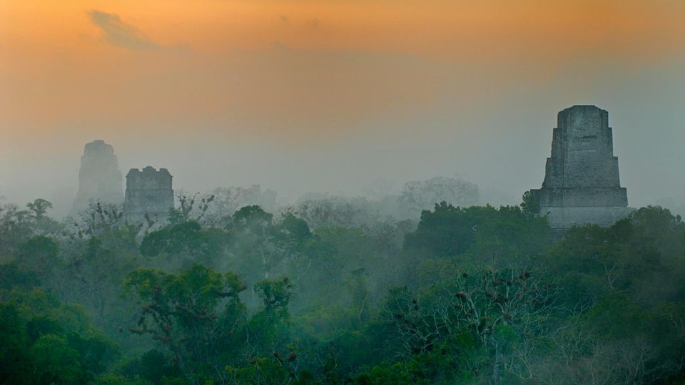 Maya Tempel von Tikal