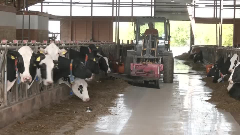 Biogasanlage