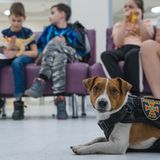 Außerdem hilft er auch bei Infoterminen.