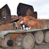 Manchmal turnt der kleine Hund auch einfach nur auf Panzern herum.