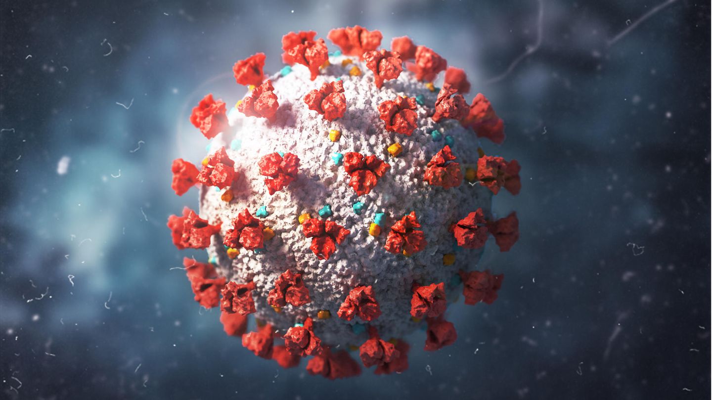 Coronavirus Sars-CoV-2 Omikron