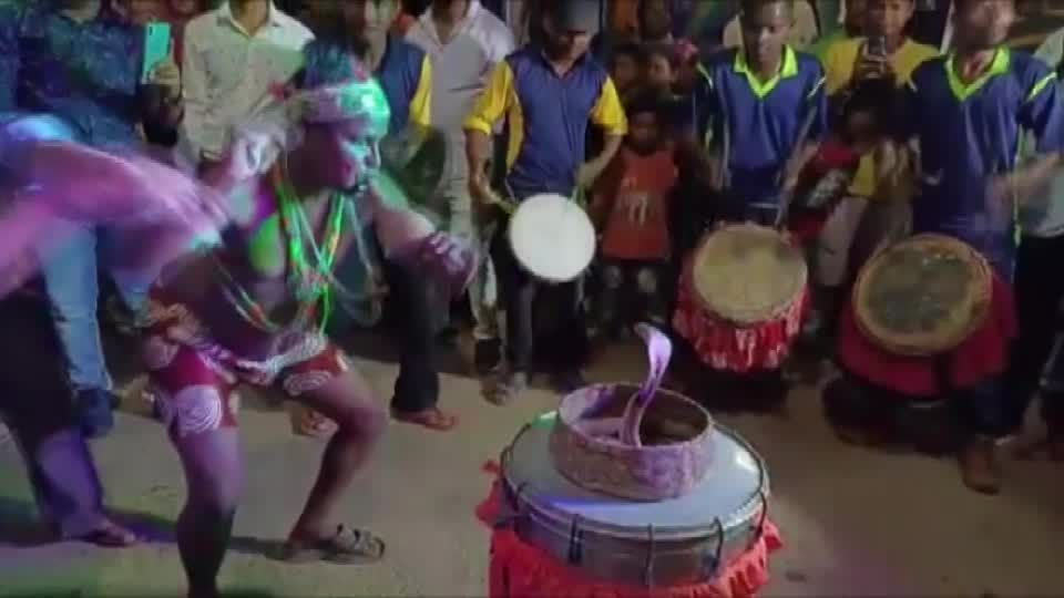 Video: Schlangenbeschwörer festgenommen Video: Schlangenbeschwörer festgenommen