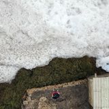 Von oben sind die Ausmaße der Schaumschichten besonders schnell ersichtlich.