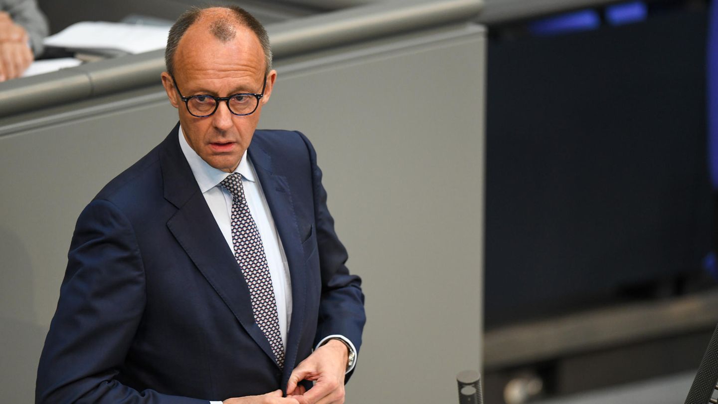 Friedrich Merz (CDU) am Rednerpult