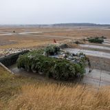 Marder beim Schießtraining.
