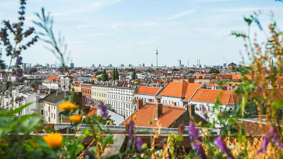 Blick auf Häuser in Berlin mit dem Fernsehturm im Hintergrund