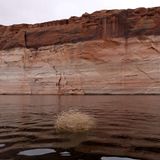 Und so sieht so ein Mineralring vom Wasser des Lake Powell aus betrachtet aus