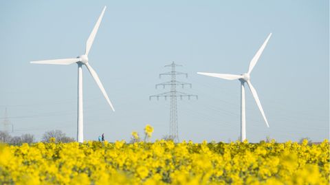Über ein blühendes Rapsfeld hinweg sind zwei Windräder zu sehen, zwischen und hinter ihnen ein Strommast
