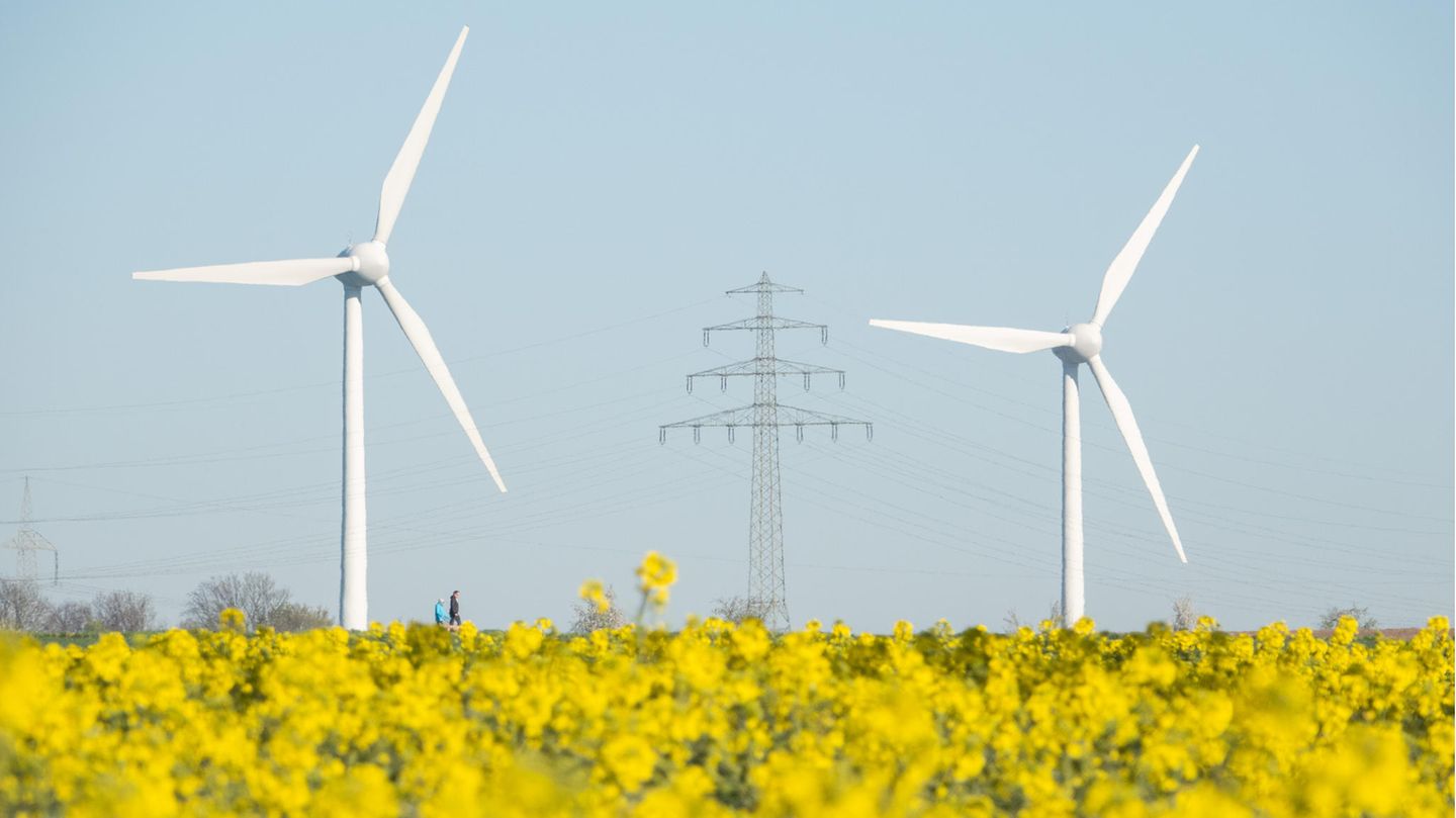 Über ein blühendes Rapsfeld hinweg sind zwei Windräder zu sehen, zwischen und hinter ihnen ein Strommast