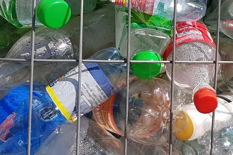 Plastikmüll: Mit diesem Enzym kann er in 24 Stunden abgebaut werden