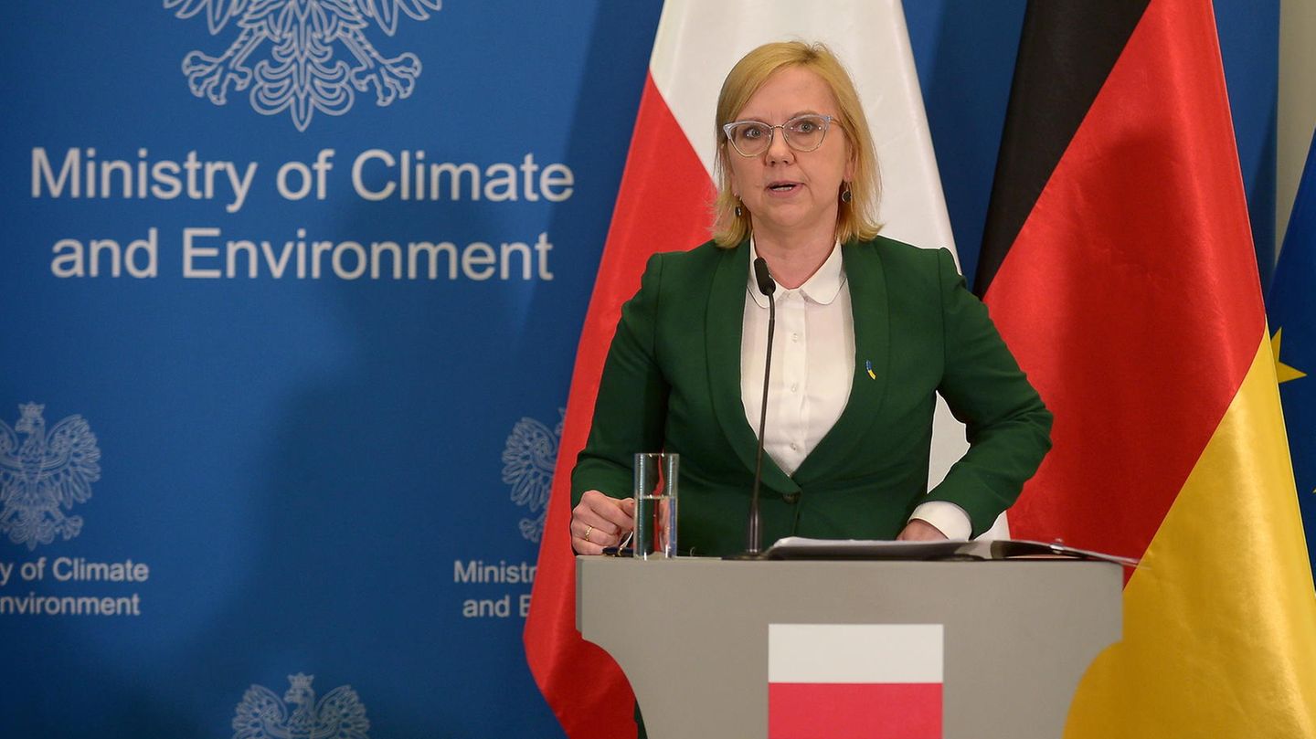 Polen fordert bereits seit Längerem einen sofortigen Importstopp. "Nun ist die Stunde für ein Ölembargo gekommen", sagte Umwelt- und Klimaministerin Anna Moskwa in Brüssel. "Gas ist dann der zweite Schritt." Polen gilt in der Frage eines Energieembargos als der engste Verbündete der Ukraine.