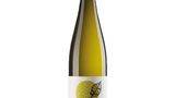 Welcher Wein? Weißer Burgunder von Jürgen Hofmann  Was kostet er? 8,50 Euro  Wie schmeckt er? Schmeckt nach frischer Zitrus, tropischen Früchten wie Ananas und hat eine kräuterwürzige Aromatik. Passt sehr gut zu asiatischen Gerichten wie Thai-Curry.  Wer steckt dahinter? Das junge Weingut gibt es erst seit 1991. Gründer Alois Hofmann startete den Weinbau in Appenheim, schon bald, mit nur 20 Jahren übernahm sein Sohn Jürgen, der Weinbau an der Universität in Geisenheim studierte. Die Weine wurden bereits von Gault&Millau ausgezeichnet. 