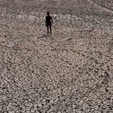 Wer denkt, der glühenden Hitze in der Stadt auf dem Land zu entkommen, hat weit gefehlt. Hier geht eine Person durch ein ausgetrocknetes Flussbett des Flusses Yamuna. Dessen Wasserstand ist durch die Hitze massiv gesunken.