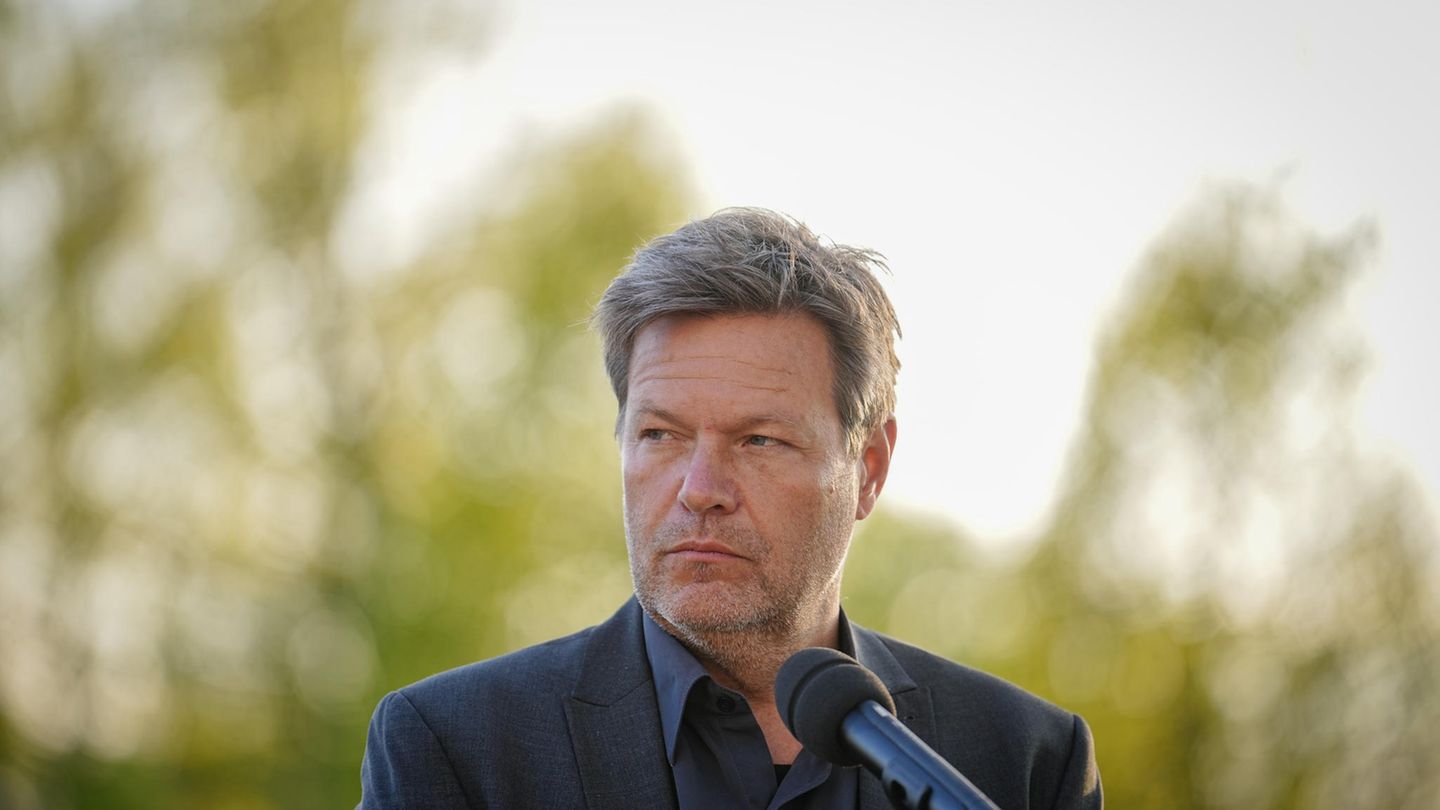 Bundeswirtschaftsminister Robert Habeck