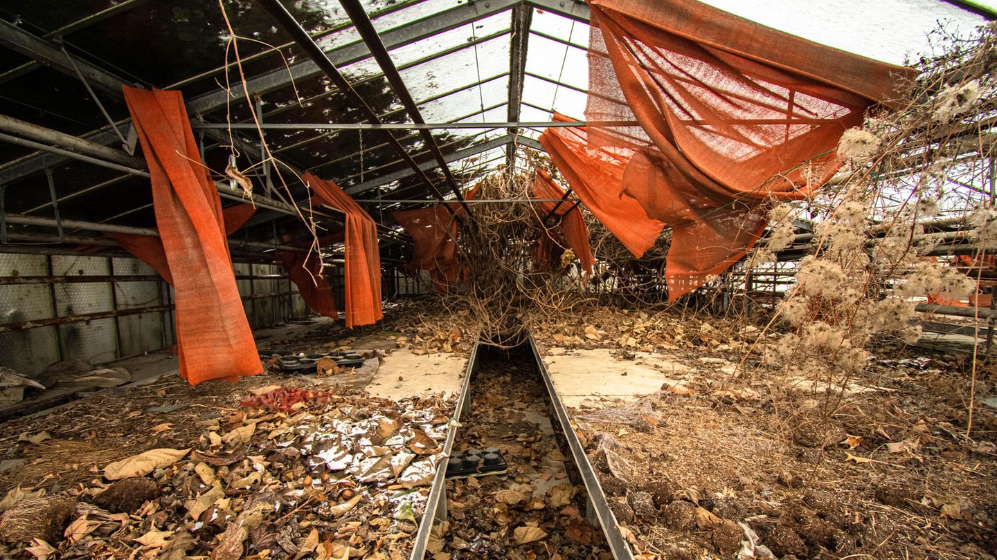 Gärtnerei in Hirschstetten