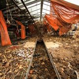 Gärtnerei in Hirschstetten