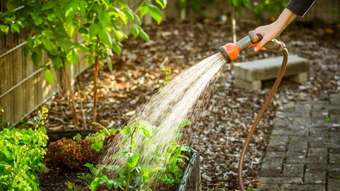 Gartenarbeit im Mai: Hochbeet wird mit einer Gartenbrause bewässert