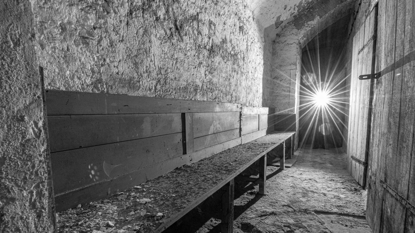 Vergessene Luftschutzbunker  Auf diesen Bänken suchten Menschen während der Bombenangriffe im Zweiten Weltkrieg Schutz. Im 1. Bezirk entstand ab 1944 ein kilometerlanges unterirdisches Labyrinth, das "Schutzraum-Netz Innere Stadt".
