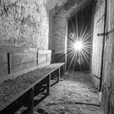 Vergessene Luftschutzbunker  Auf diesen Bänken suchten Menschen während der Bombenangriffe im Zweiten Weltkrieg Schutz. Im 1. Bezirk entstand ab 1944 ein kilometerlanges unterirdisches Labyrinth, das "Schutzraum-Netz Innere Stadt".