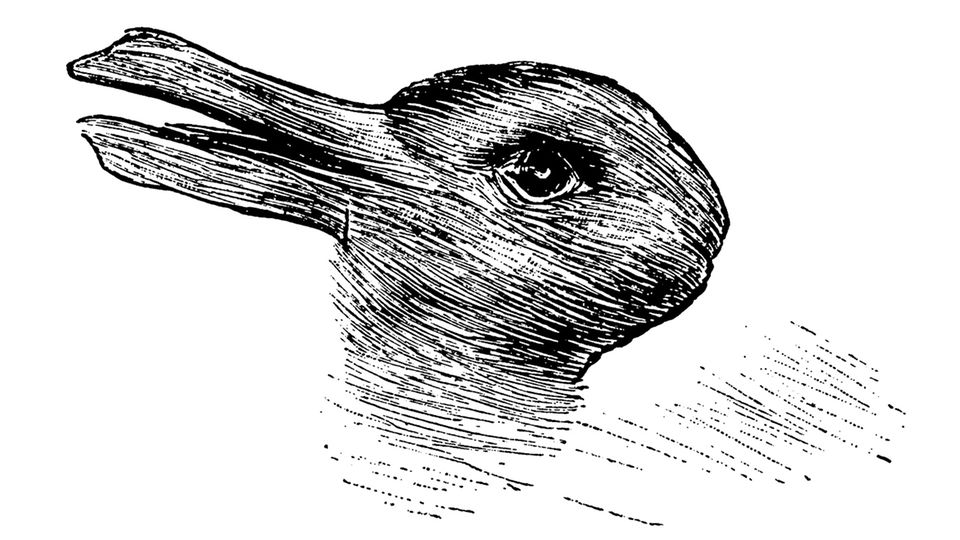 Ente oder Kaninchen? Optische Täuschung verrät viel über Ihre Kreativität