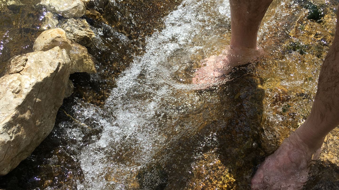 Paracelsus und das Prinzip Hormesis