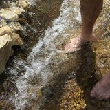 Paracelsus und das Prinzip Hormesis