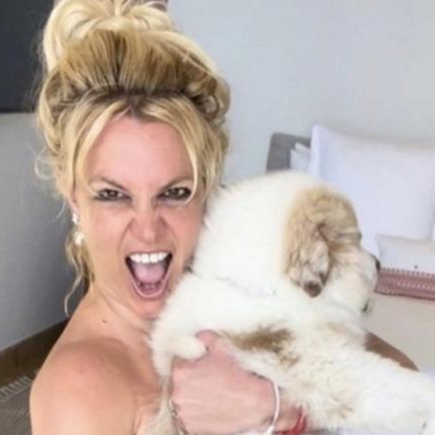 Britney Spears: Sie zeigt sich komplett nackt – nur mit Hund bekleidet |  STERN.de