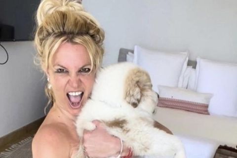 Britney Spears: Sie zeigt sich komplett nackt – nur mit Hund bekleidet
