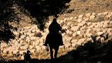 Rigo Negro Provinz, Argentinien. Während auf der Nordhalbkugel langsam der Sommer beginnt, muss sich die Südhalbkugel warm anziehen – denn der Winter naht. Für die Schafe der argentinischen Inostroza geht es deshalb zurück ins Überwinterungsgebiet Rio Chico im Ostend es Landes. Jedes Jahr legen die Inostroza mit ungefähr 1400 Schafen, 70 Pferden und 200 Kühen auf der zweitägigen Reise 120 km zurück.