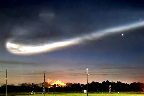 Aufzeichnung einer Live-Webcam, die eine Weltraum-Qualle aufzeichnet