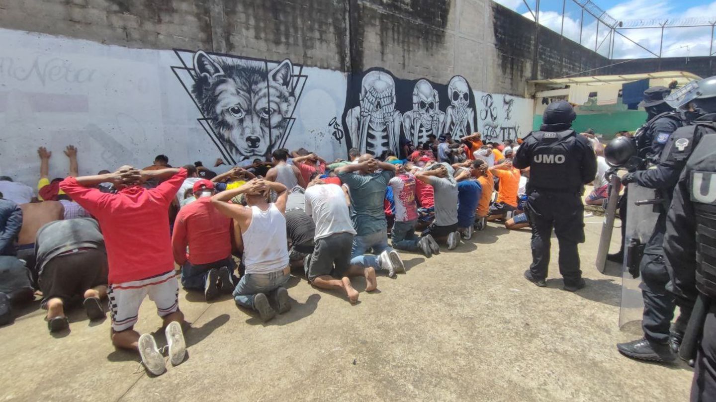 Ein von der ecuadorianischen Regierung bereitgestelltes Foto