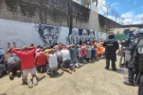 Ein von der ecuadorianischen Regierung bereitgestelltes Foto