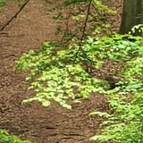 Höchster Zoom des Xiaomi 12 Pro