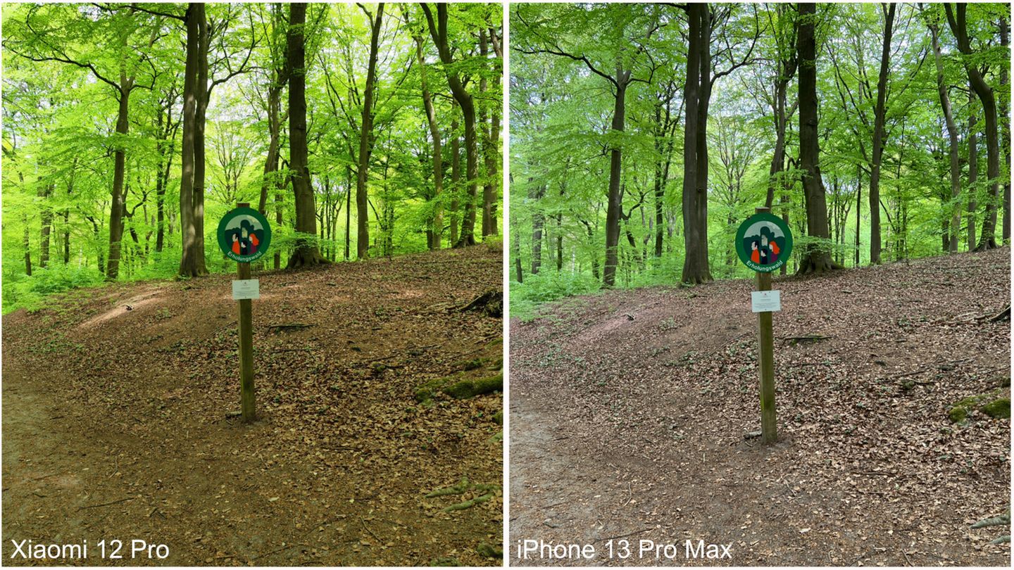 sektor Tumult sende Xiaomi 12 Pro und iPhone 13 Pro Max im Kamera-Test | STERN.de