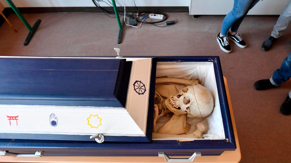 Skelett im Sarg - Deckel offen