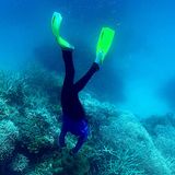 Hier begutachtet eine Taucherin den Zustand der Korallen im Great Barrier Reef.