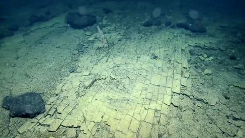"Atlantis": Forscher entdecken Unterwasser-Straße bei Hawaii