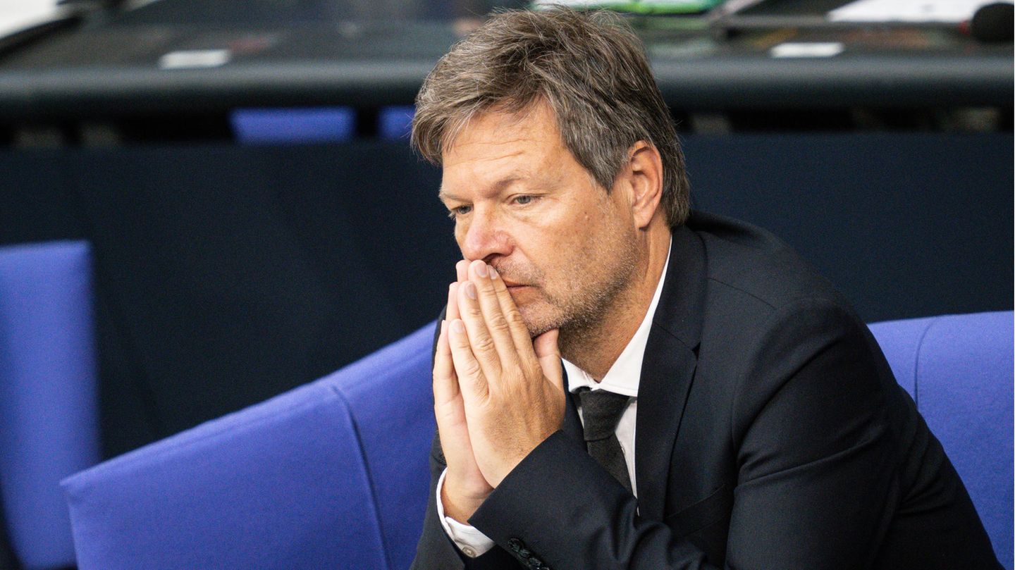 Robert Habeck: His answers to the new sanctions from Russia
