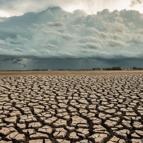 Erderwärmung 1,5 Grad: Regen fällt auf trockenen Boden