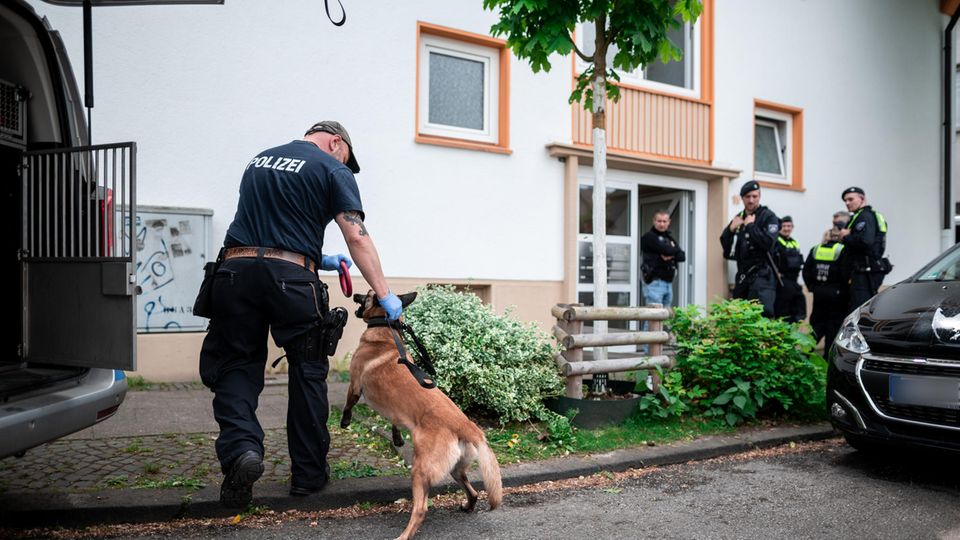 Ein Polizist mit Spürhund geht in das Wohnhaus des Tatverdächtigen in Essen