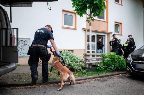 Ein Polizist mit Spürhund geht in das Wohnhaus des Tatverdächtigen in Essen