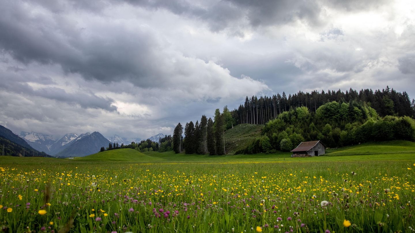 Gewitterwolken ziehen über den Alpen auf
