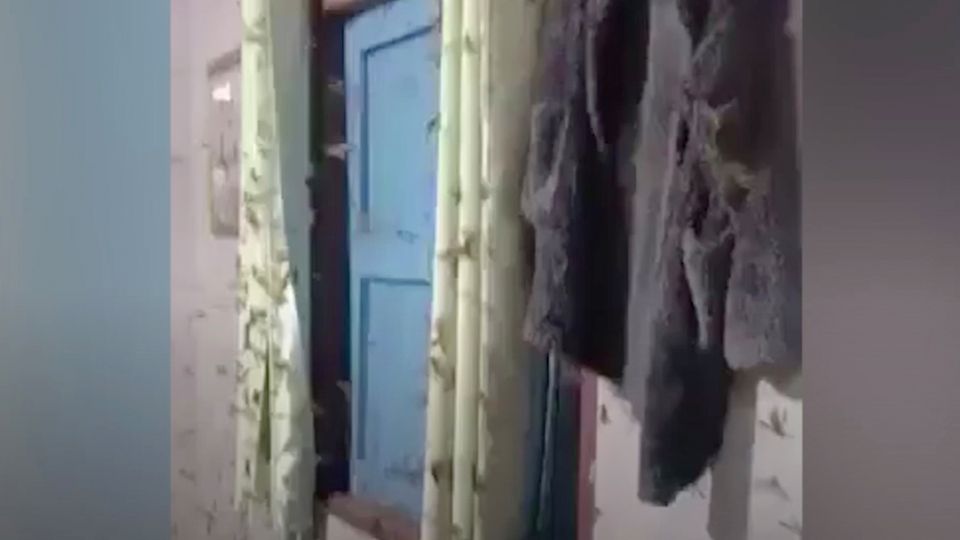 Gruselige Aufnahmen : Schaurige Invasion: Tausende Termiten schwärmen in Wohnzimmer